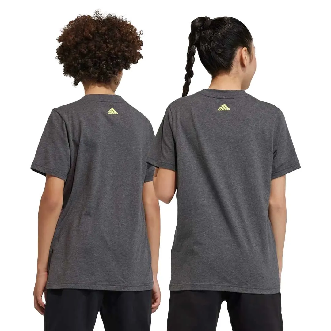 adidas - Kids' (Junior) Essentials Big Logo T-Shirt (IJ6286)