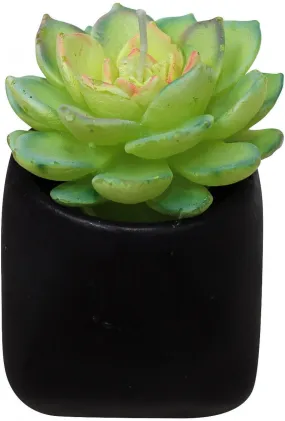 Candle - Succulent Pot