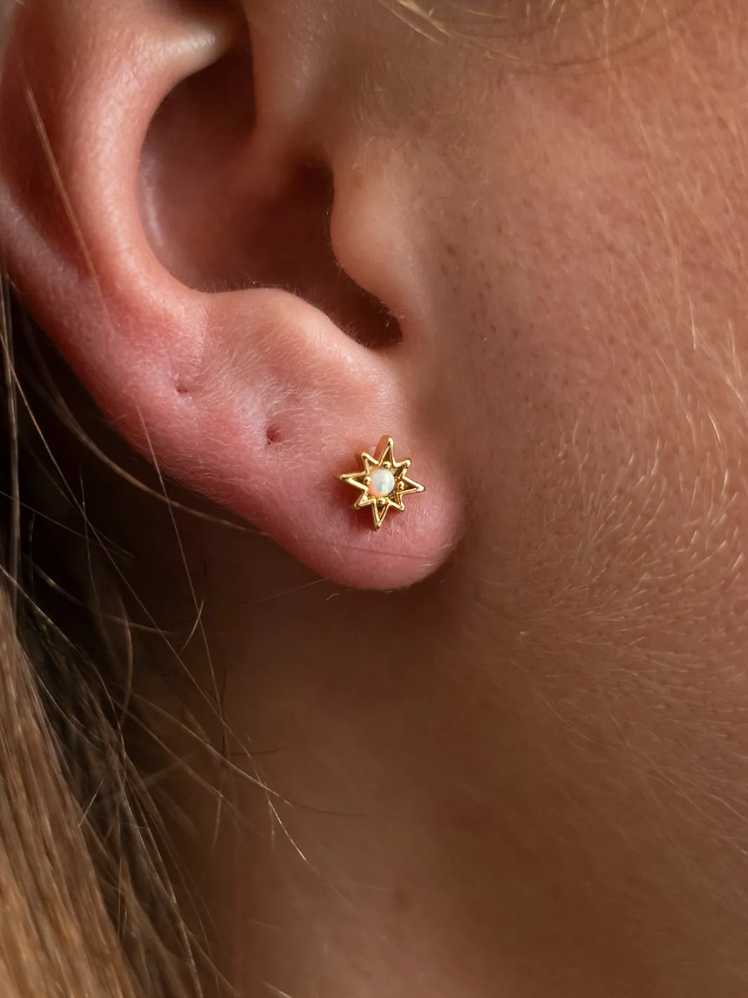 Friihof Siig Star pearl onepiece ørering forgyldt