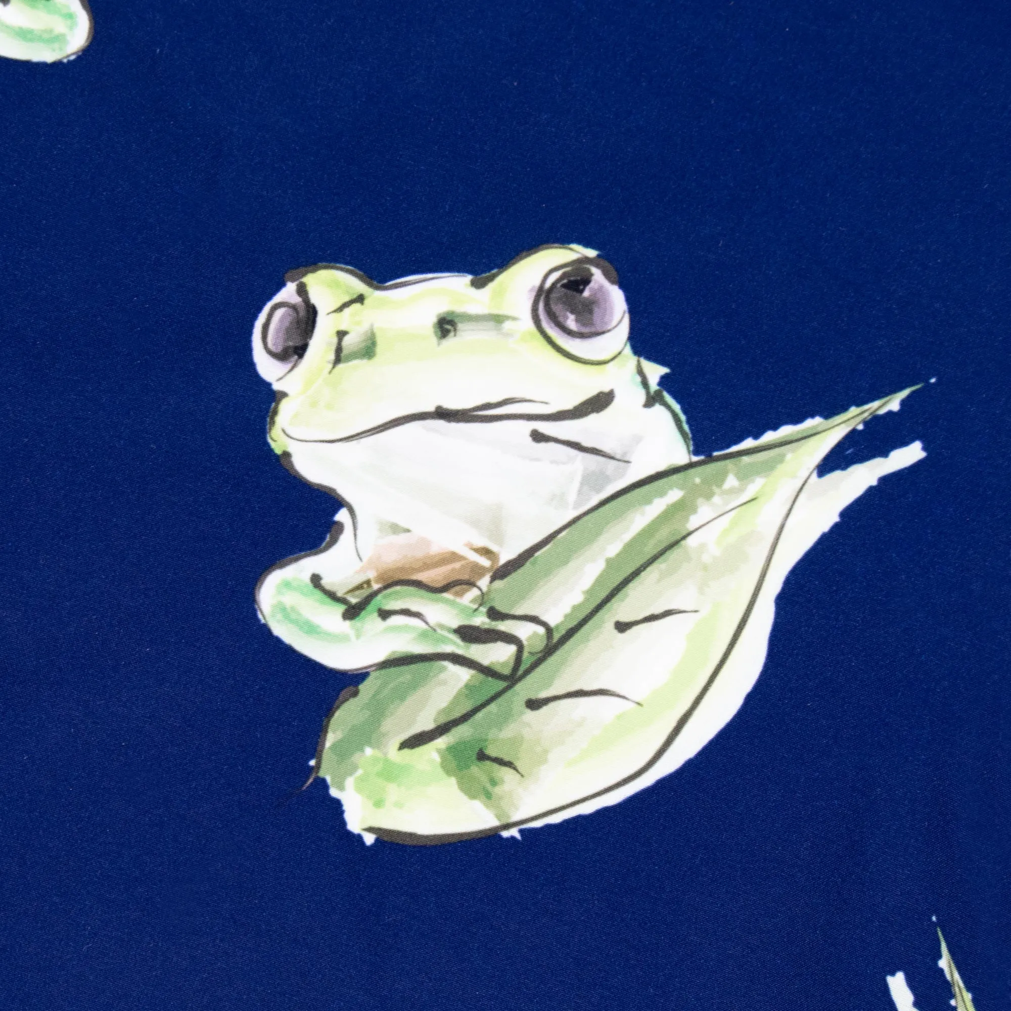 Matching Father & Son Frogs Swim Shorts