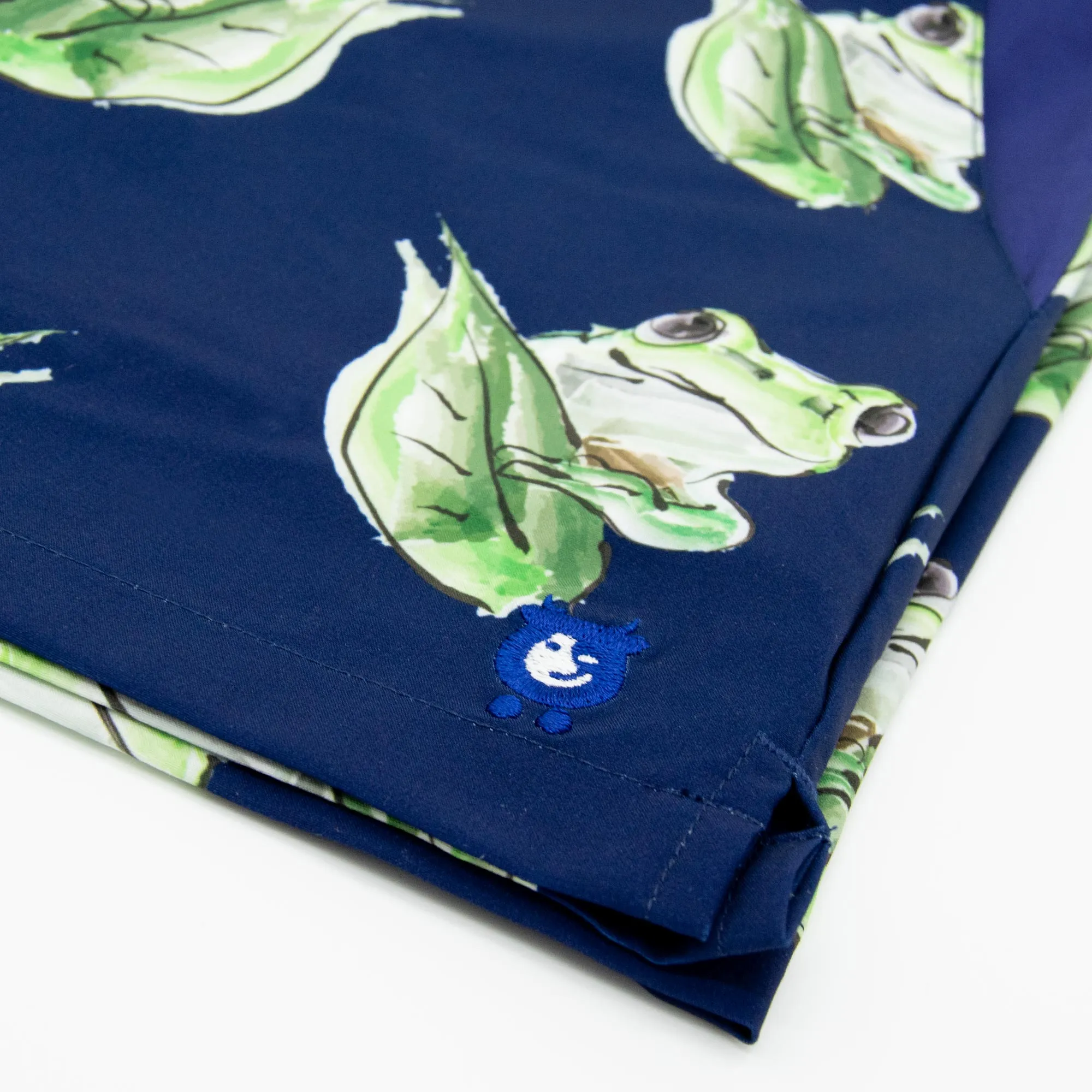 Matching Father & Son Frogs Swim Shorts