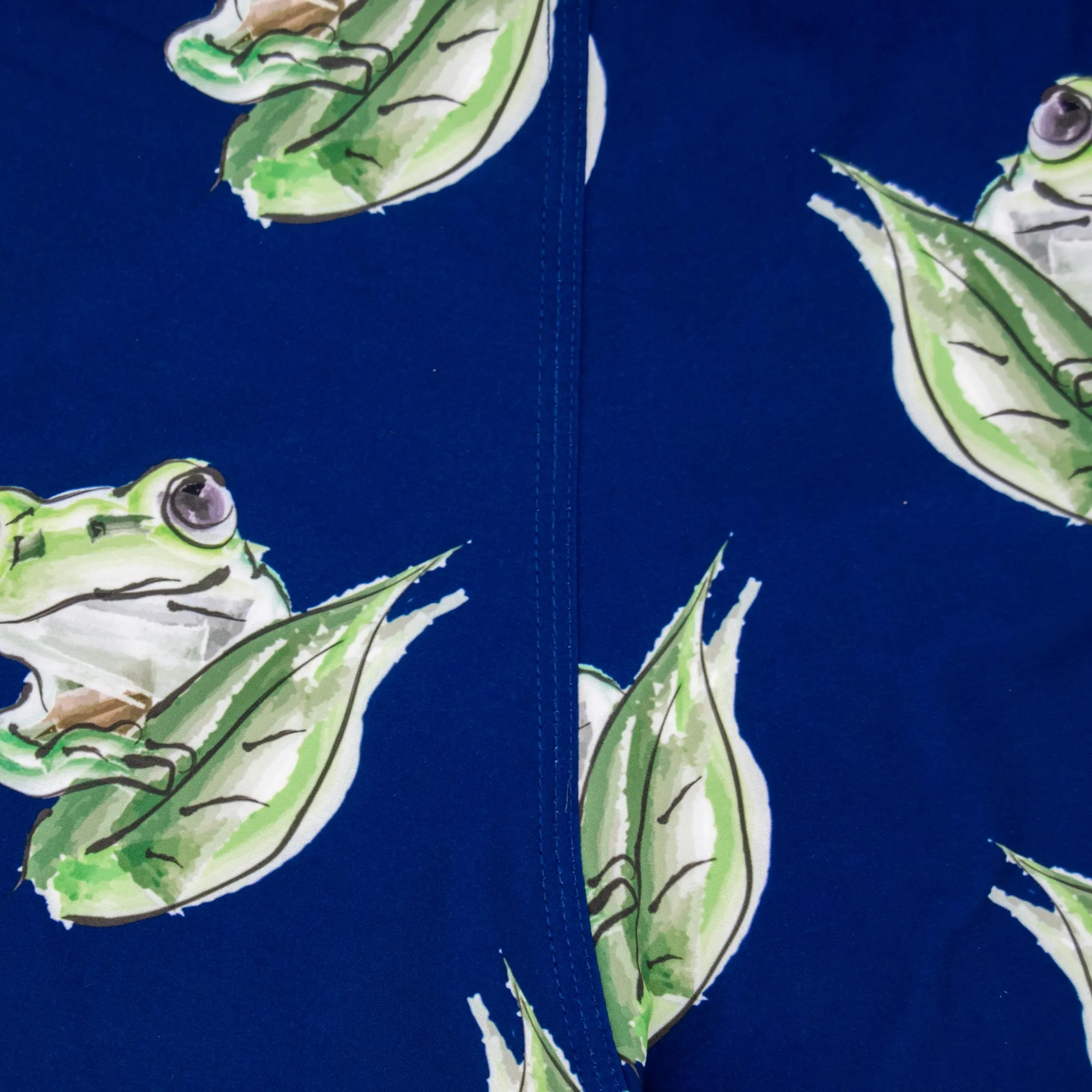 Matching Father & Son Frogs Swim Shorts